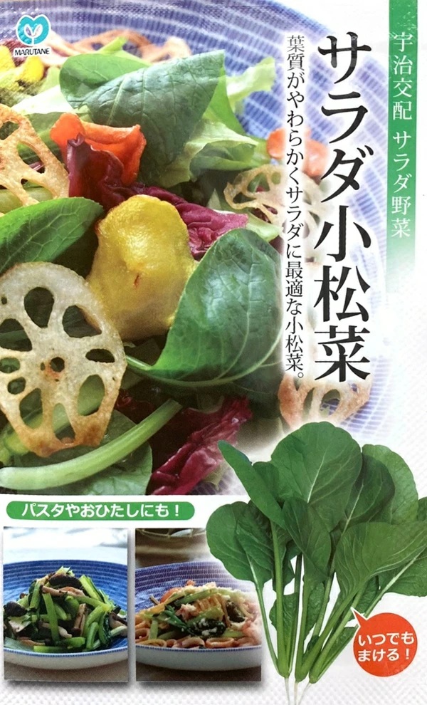 サラダ小松菜