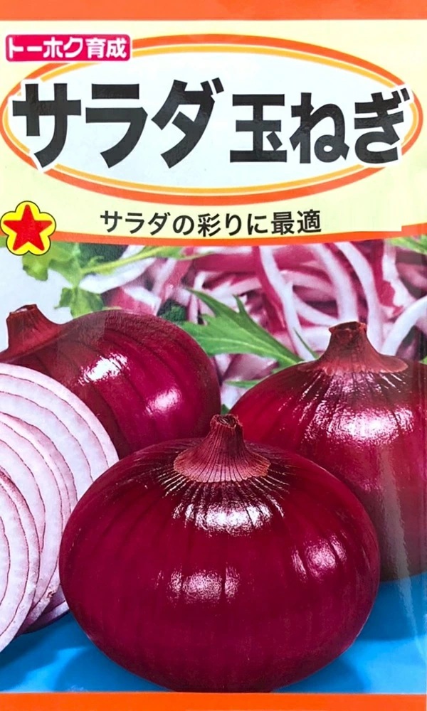 サラダ玉ねぎ
