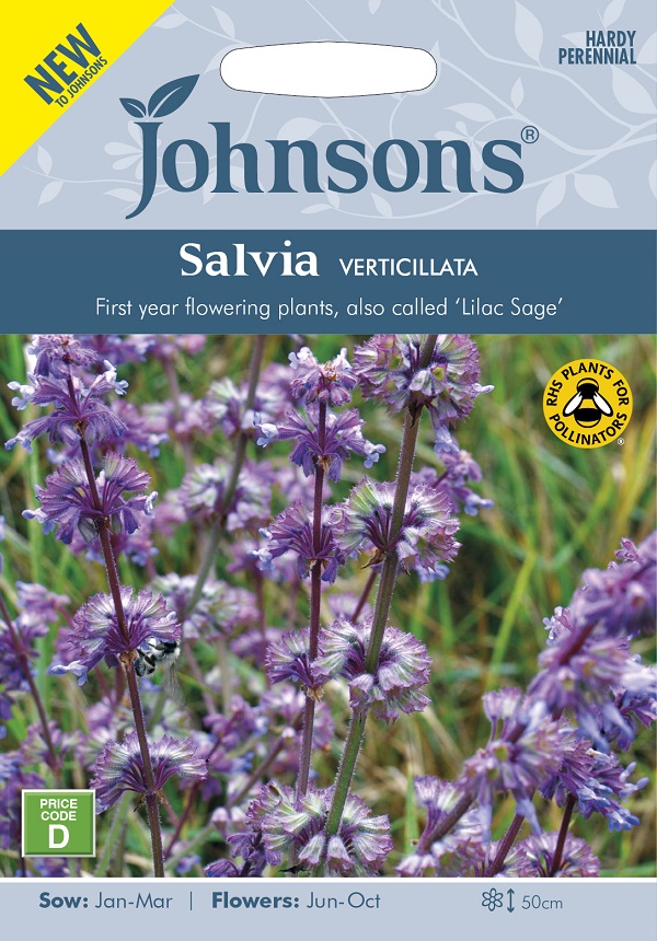 Johnsons Seeds Salvia VERTICILLATA サルビア バーティシラータ