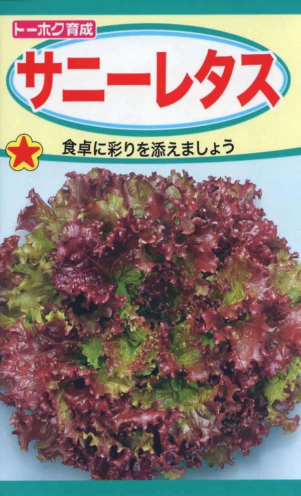 サニーレタス