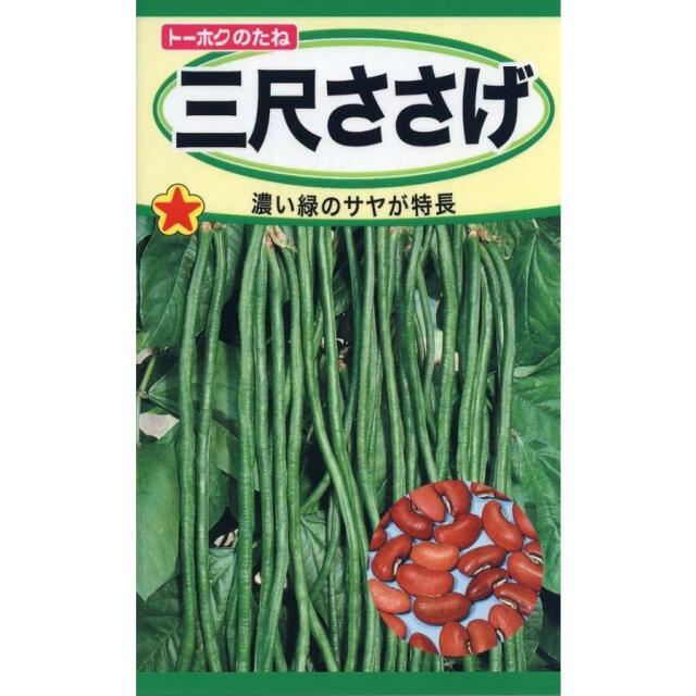 三尺ささげ