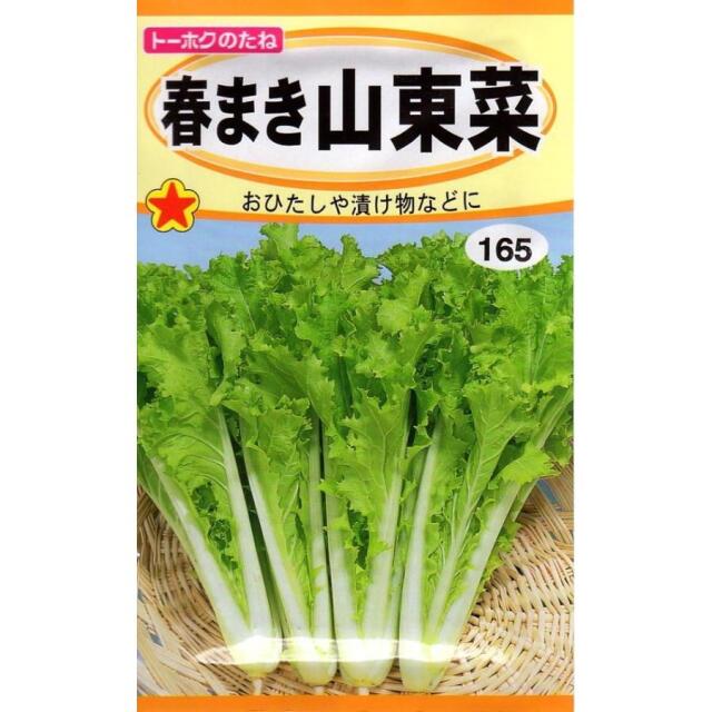 山東菜トーホク
