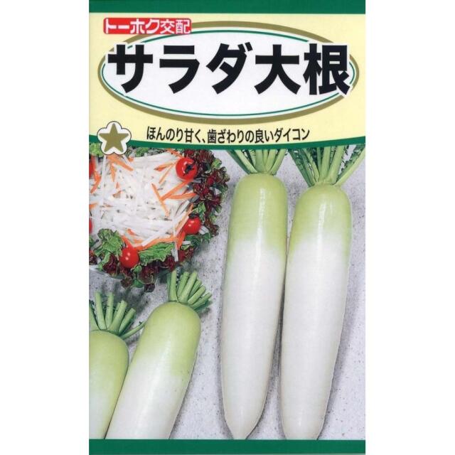 サラダ大根