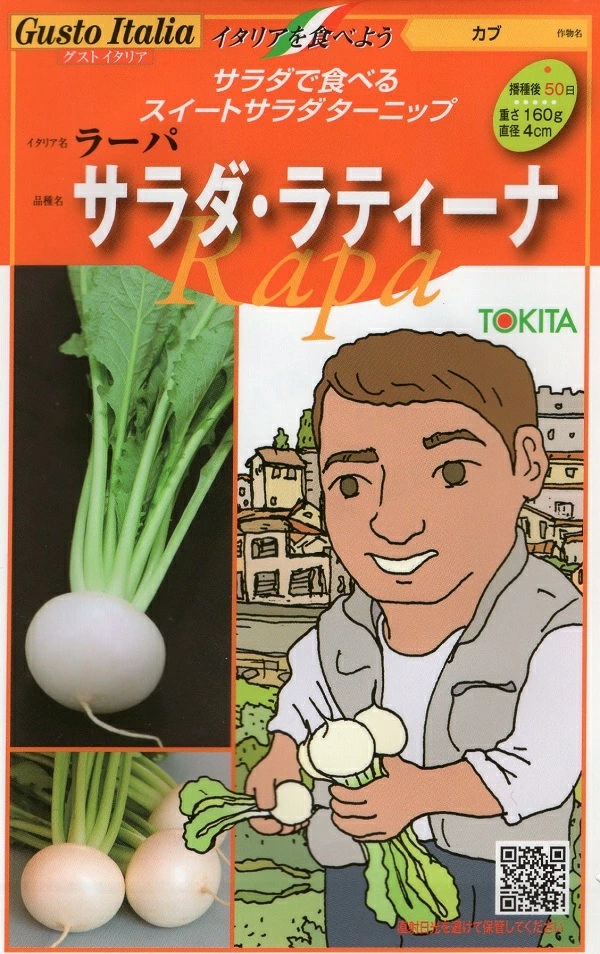 カブ　サラダ・ラティーナ