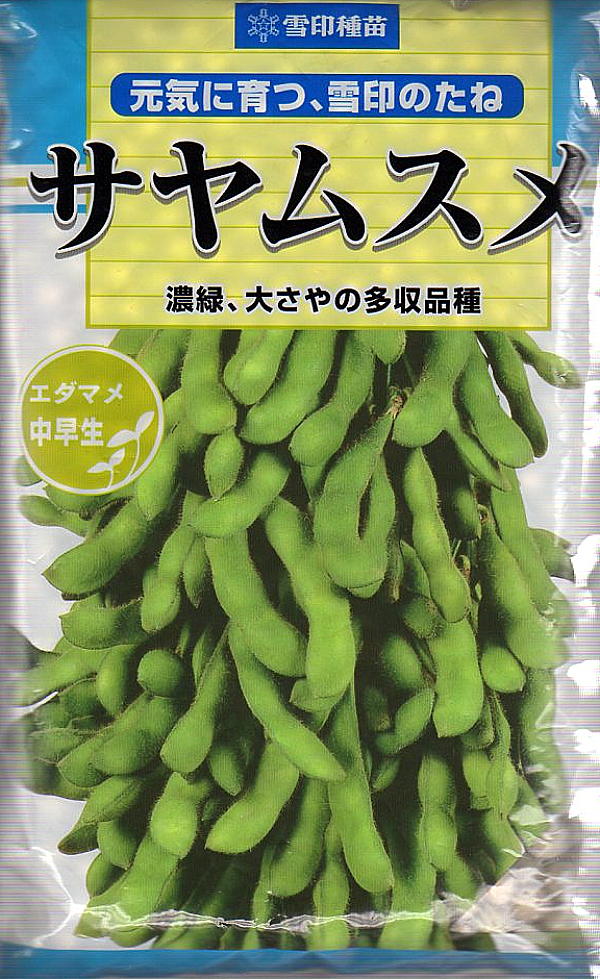 サヤムスメ1l