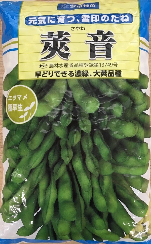 莢音1ｌ