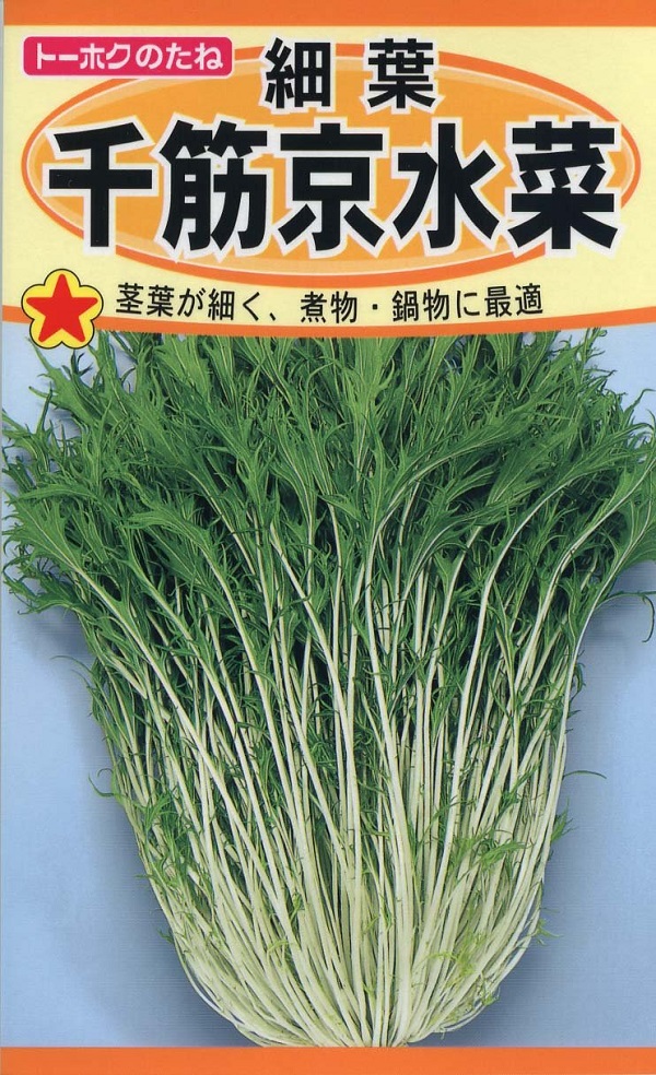 細葉千筋京水菜