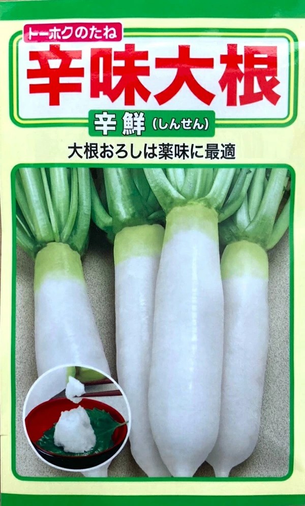 【種子】 辛味大根 辛鮮 トーホクのタネ