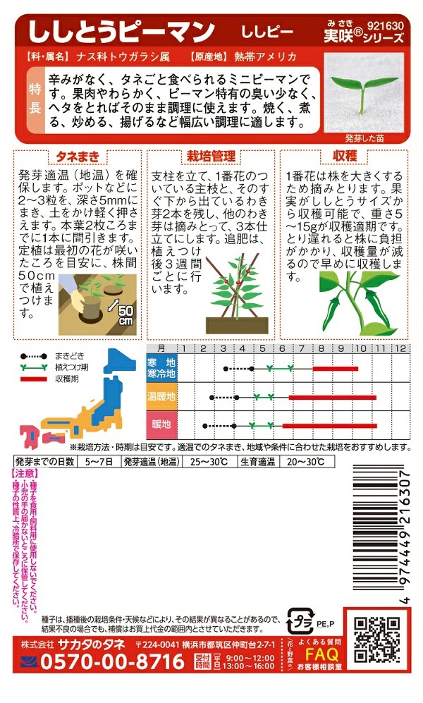 ししとうピーマン　ししピー