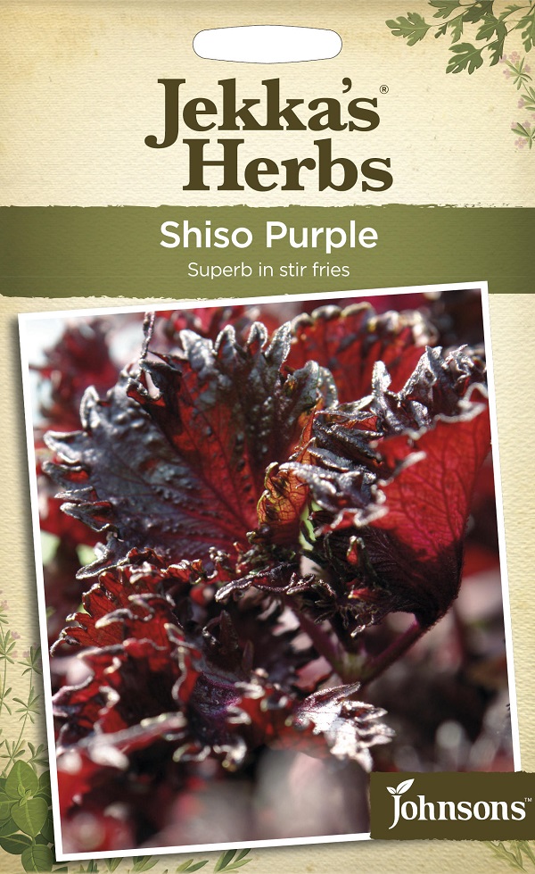 shiso_purple