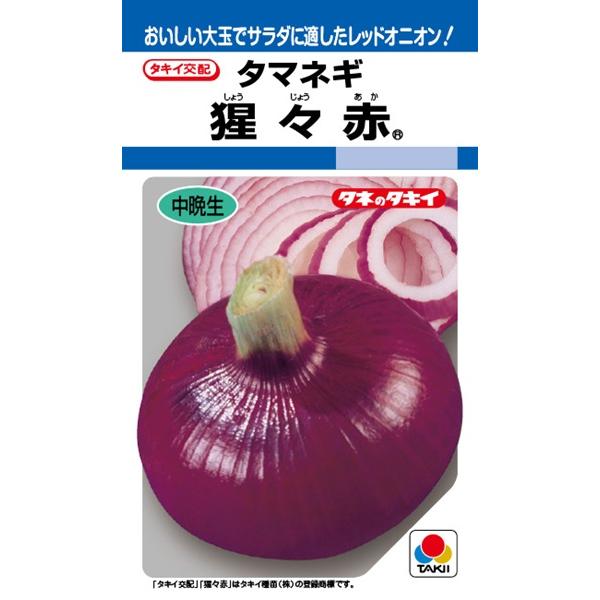 猩々赤タキイ