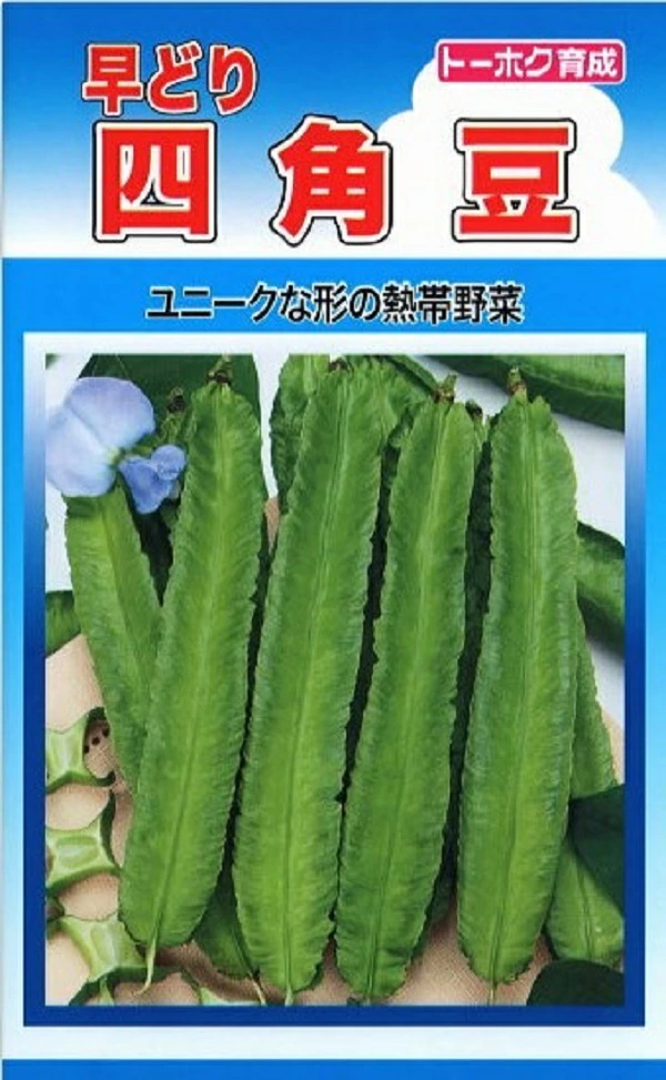 四角豆