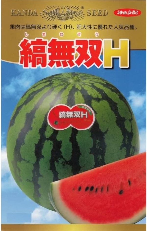 縞無双H