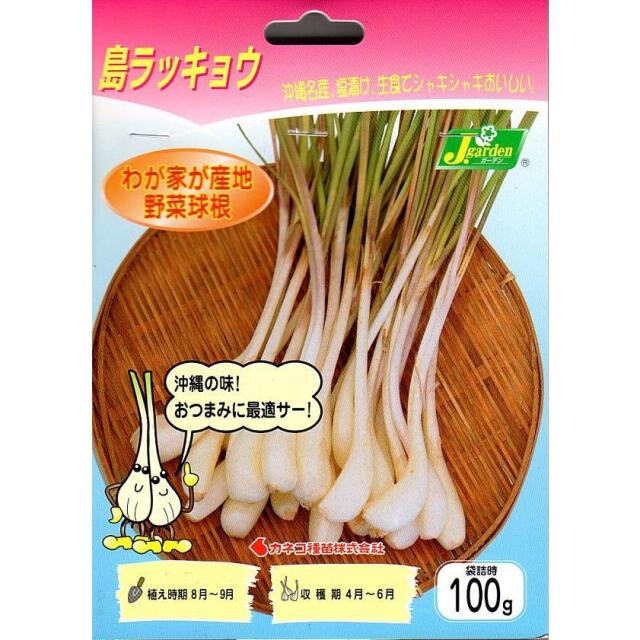 島ラッキョウ