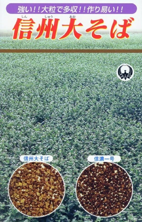 信州大そば