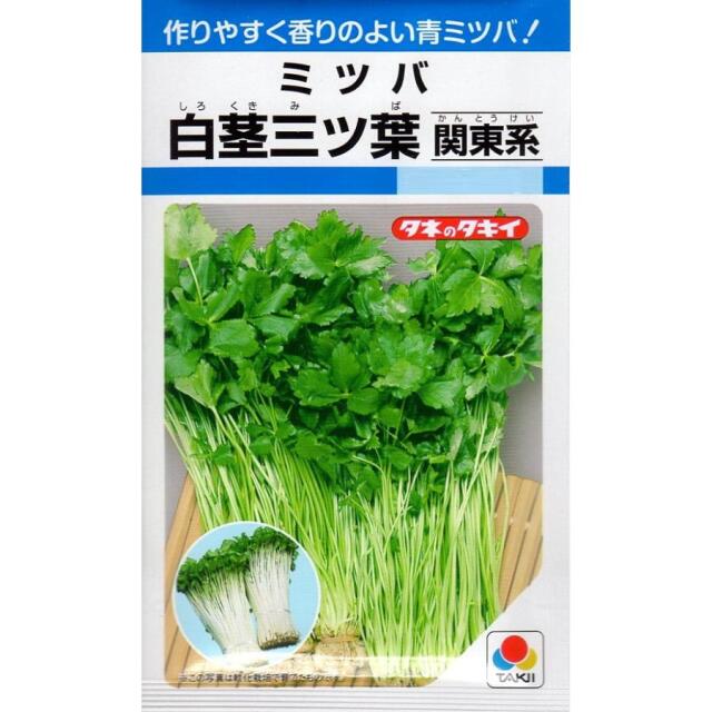 白茎三つ葉