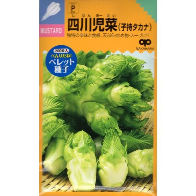 四川児菜