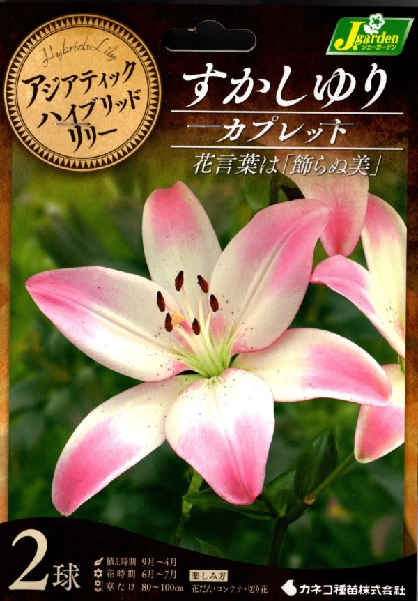 すかしゆり　カプレット