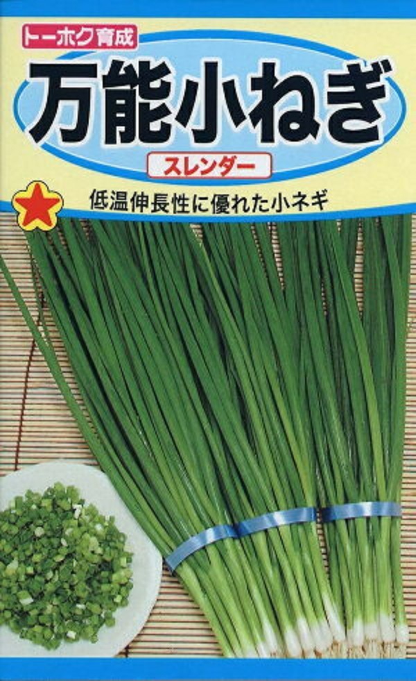 小ねぎ　スレンダー