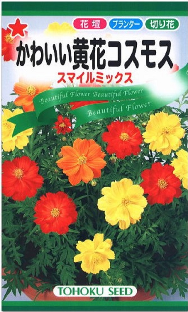 花種子 かわいい黄花コスモス スマイルミックス トーホクのタネ