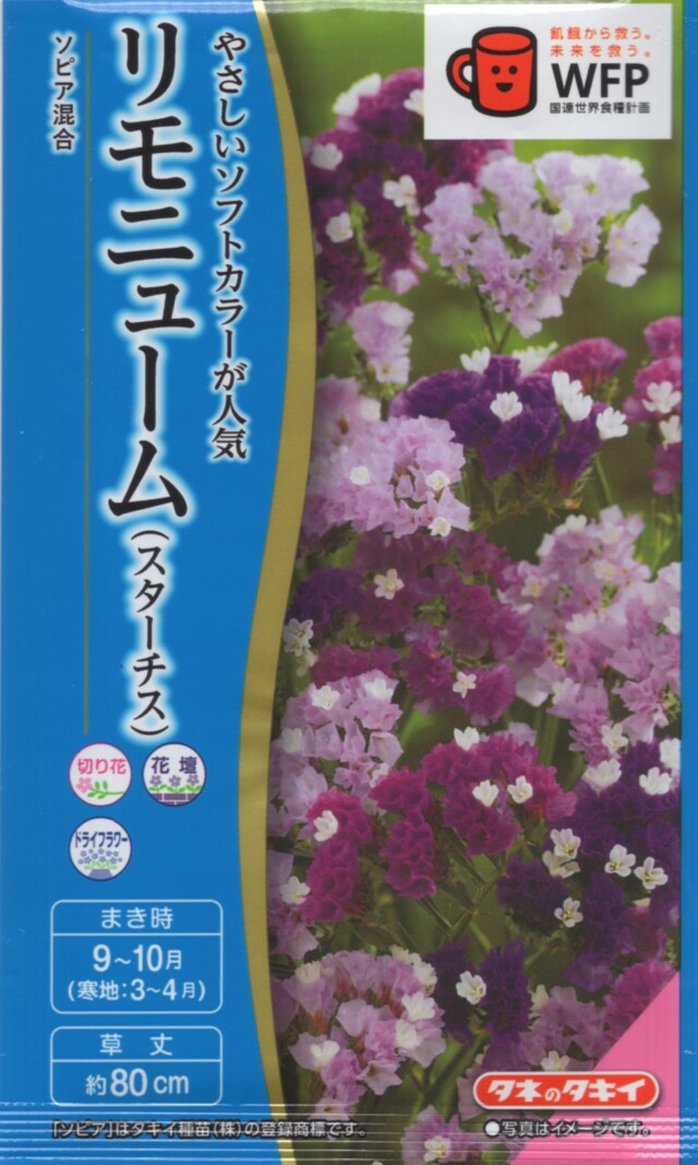 リモニューム（スターチス）ソピア混合