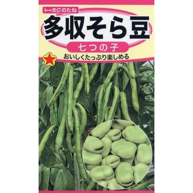 多収そら豆七つの子