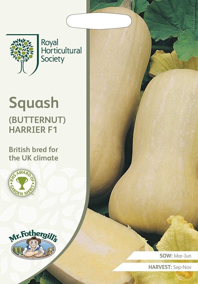 スカッシュ(バターナッツ) ハリアー