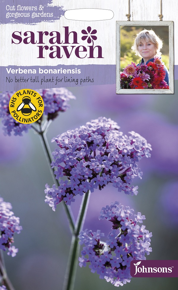 Sarah RavenVerbena bonariensis