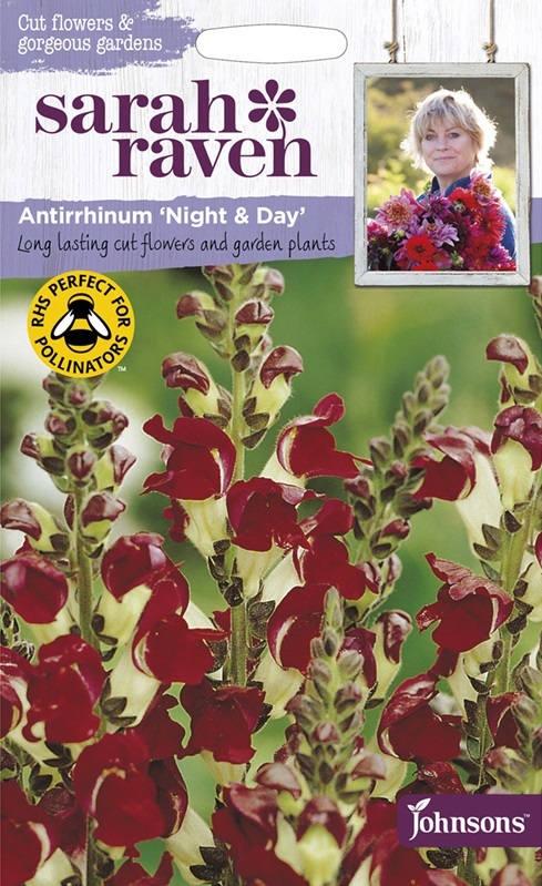 【輸入種子】Johnsons Seeds Sarah Raven Cut Flowers & Gorgeous Gardens Antirrhinum Night & Day