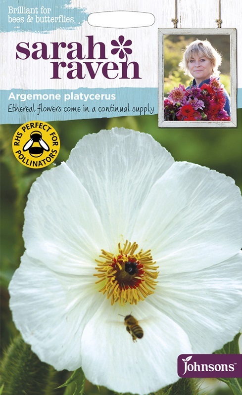 アルゲモネ（プリッキー・ポピー）