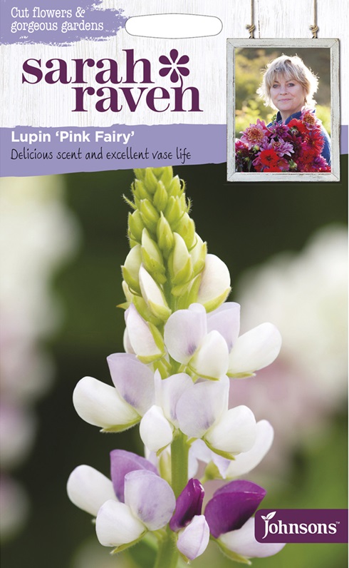 lupin pink fairy