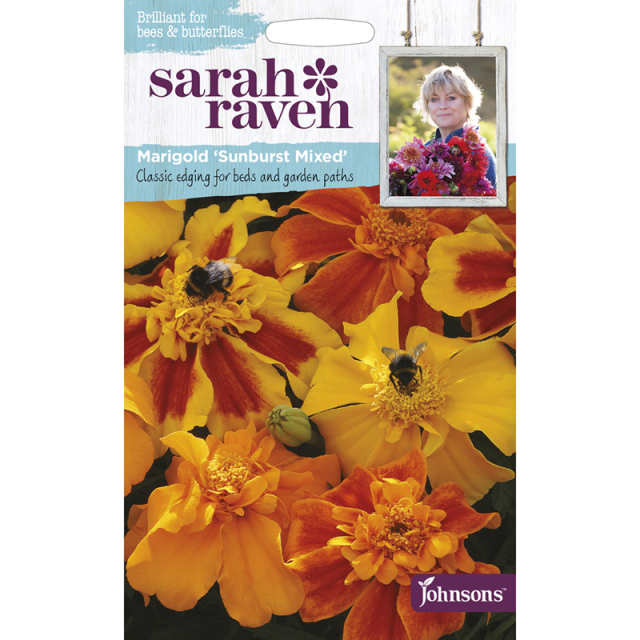 sr_marigold_sunburst