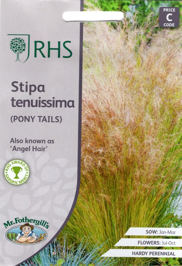 stipa-tenuissima