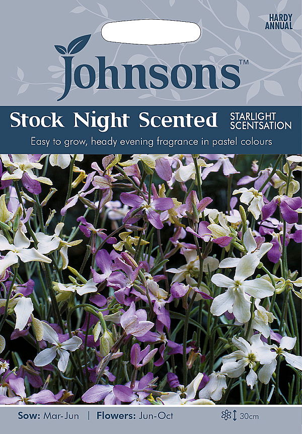 ストック・ナイト・センテッド・スターライト・センセーション