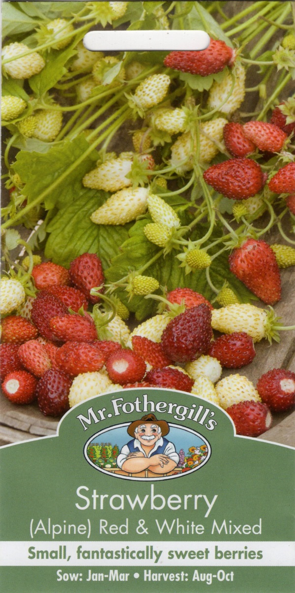 ストロベリー レッド＆ホワイト・ミックス