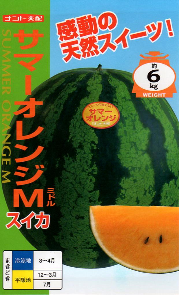 スイカ　サマーオレンジM