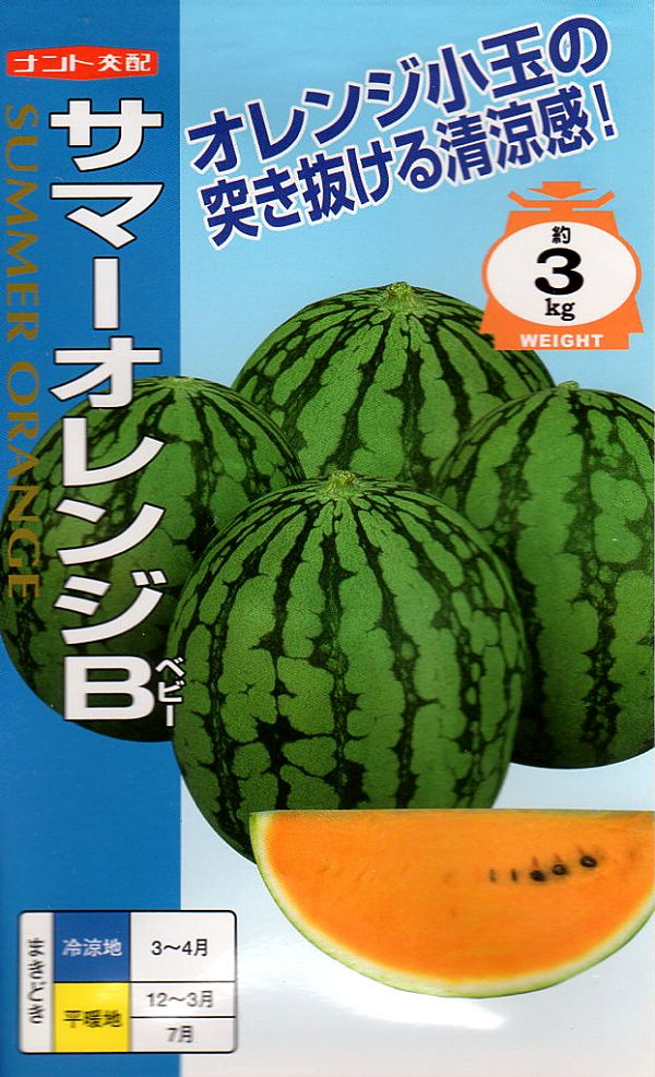スイカ　サマーオレンジB