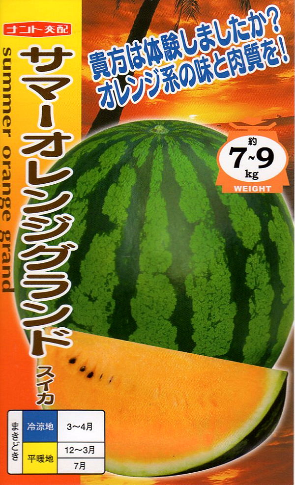 スイカ　サマーオレンジグランド