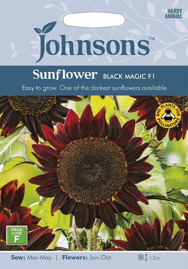 sunflower-blackmagic