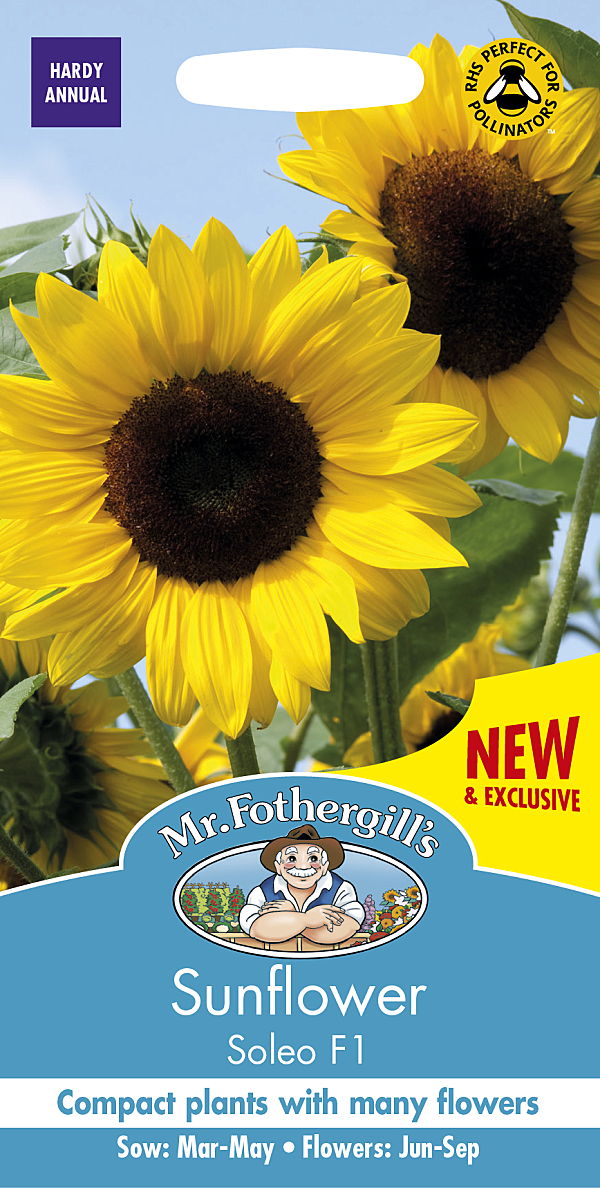 サンフラワー（ひまわり）・ソレオ・F1