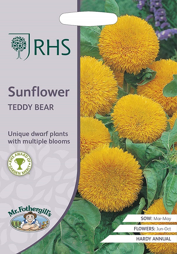 sunflower teddybear