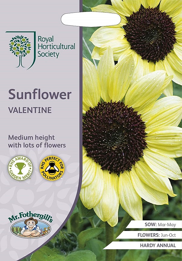 sunflower valentine