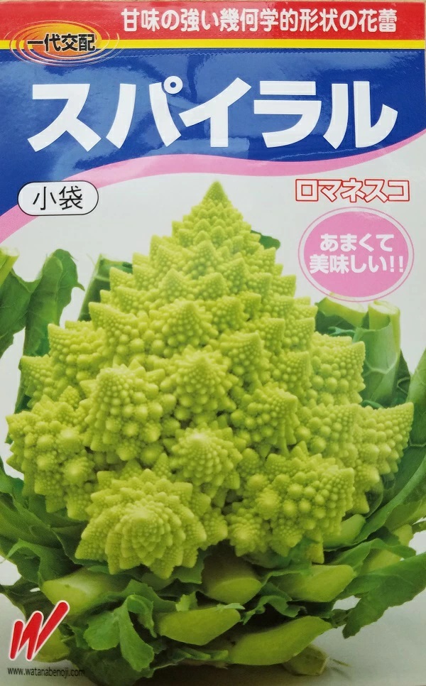 スパイラルロマネスコ