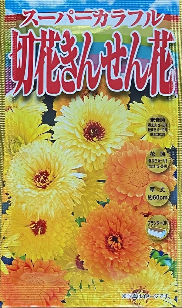スーパーカラフル切花きんせん花