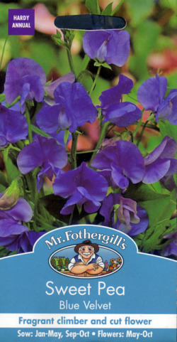 スイート・ピー・ブルー・ベルベット