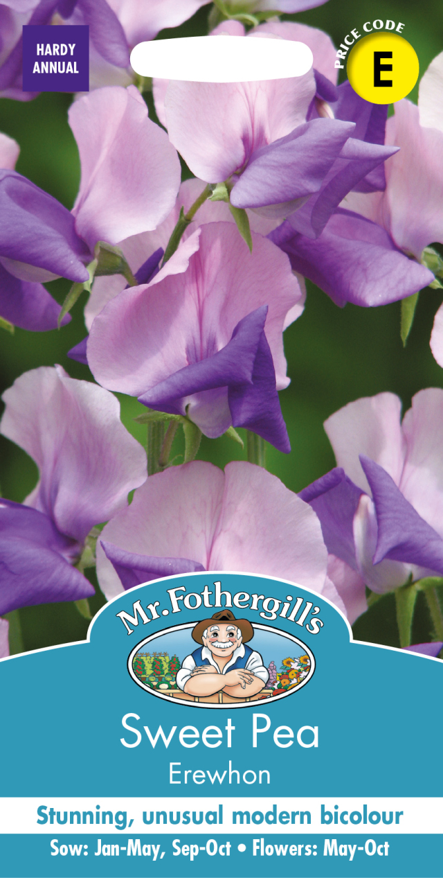 スイートピー・エリューホン２