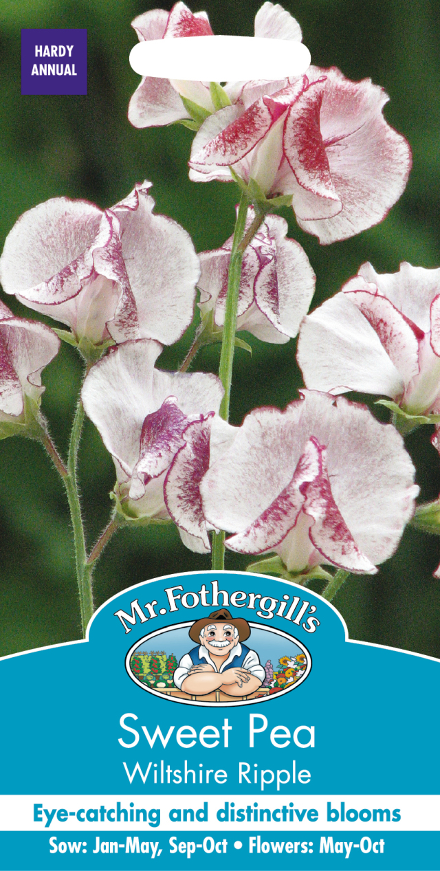 sweet pea wiltshire ripple