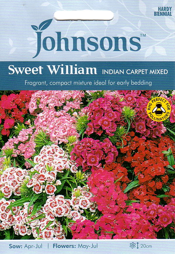 スイート・ウイリアム（なでしこ）・インディアン・カーペット・ミックス