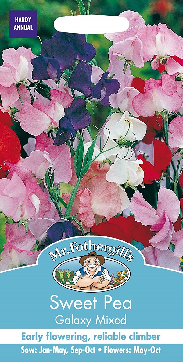sweetpea galaxy mixed