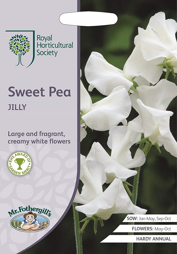 sweetpea jilly
